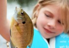 FishGirl