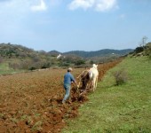 Κόκκινο Τρακτέρ2