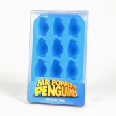 MRPP_icecubetray_pho1