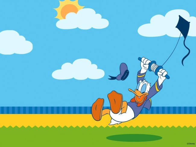 Kite-Donald-Duck-kites-17130045-1024-768