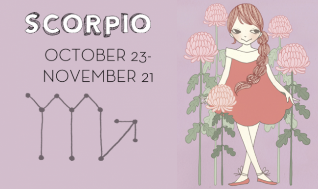header-baby-scorpio-659x393