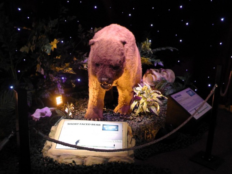 Η Εποχή των Παγετώνων