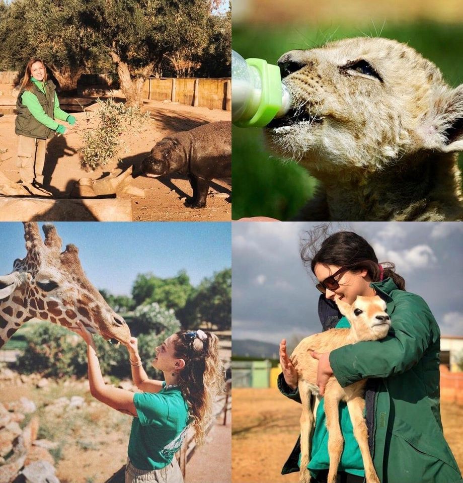Το Αττικό Ζωολογικό Πάρκο εκπέμπει «SOS» – Τι θα γίνει με τα 2.000 ζώα που φιλοξενεί