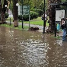 Οι φοιτητές ξεσπούν για τα πλημμυρισμένα Πανεπιστήμια