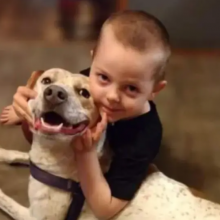 Φρικτή παραμόρφωση 5χρονου όταν ο σκύλος της οικογένειας του επιτέθηκε δαγκώνοντας το μάγουλό του