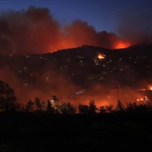 Μάτα Τσικρικά, πρόεδρος Πνευμονολόγων Ελλάδας: "Οι εγκυμονούσες και οι θηλάζουσες να απομακρυνθούν από τις περιοχές της φωτιάς"