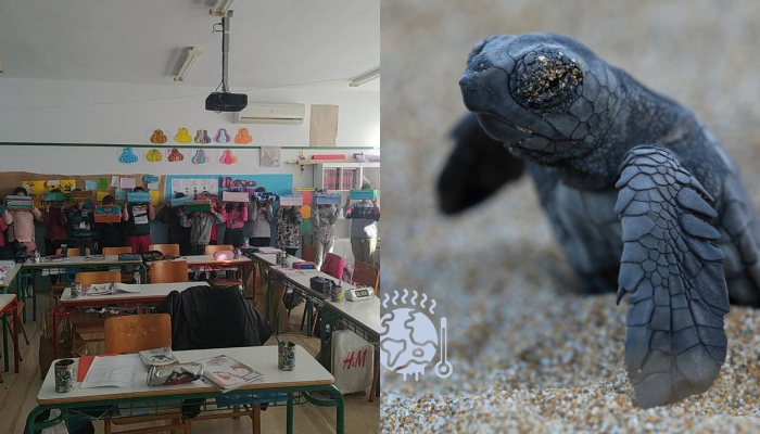 Μπράβο τους! Μαθητές στην Κρήτη έσωσαν μια χελώνα Καρέτα Καρέτα