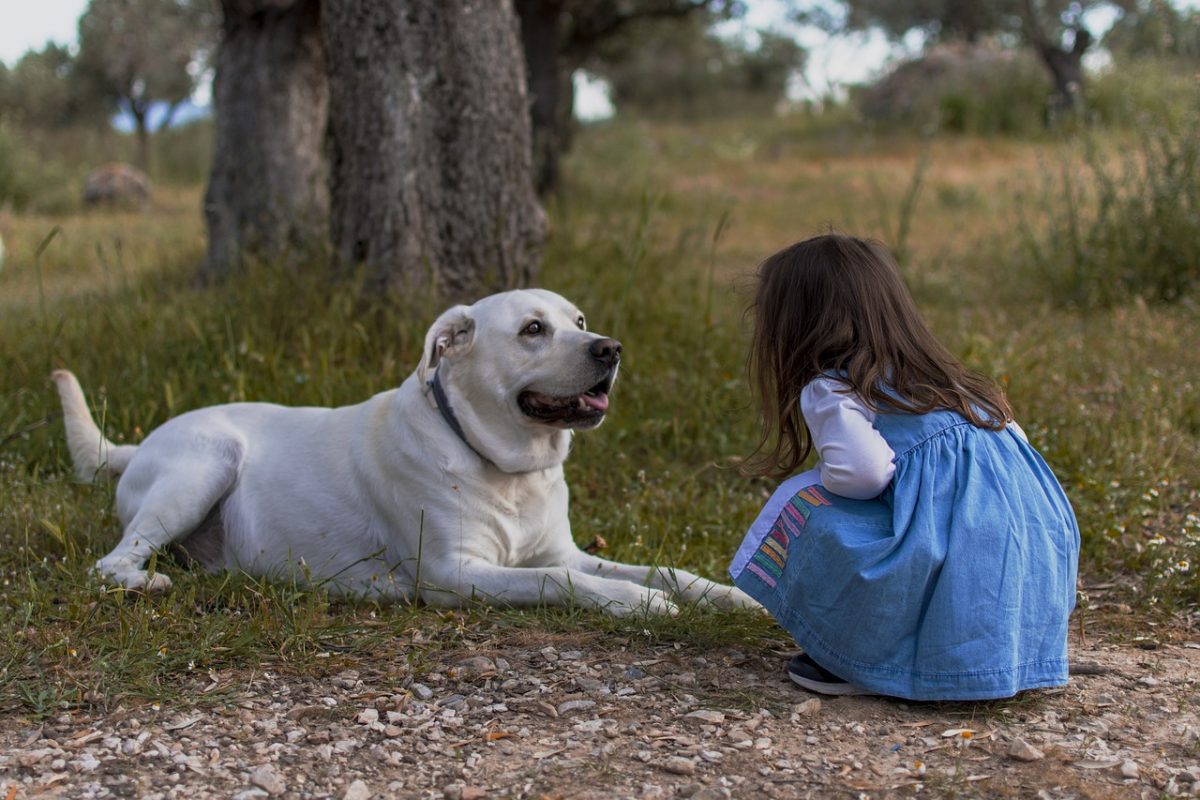 Κοριτσάκι δύο χρονών χάθηκε στο δάσος, την έσωσαν τα δυο σκυλιά της! Διαβάστε την υπέροχη ιστορία!