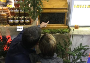 14ο Φεστιβάλ Ελληνικού Μελιού & Προϊόντων Μέλισσαςμελιού