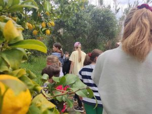 «Τα παιΔικά μας φρούτα & λαχανικά